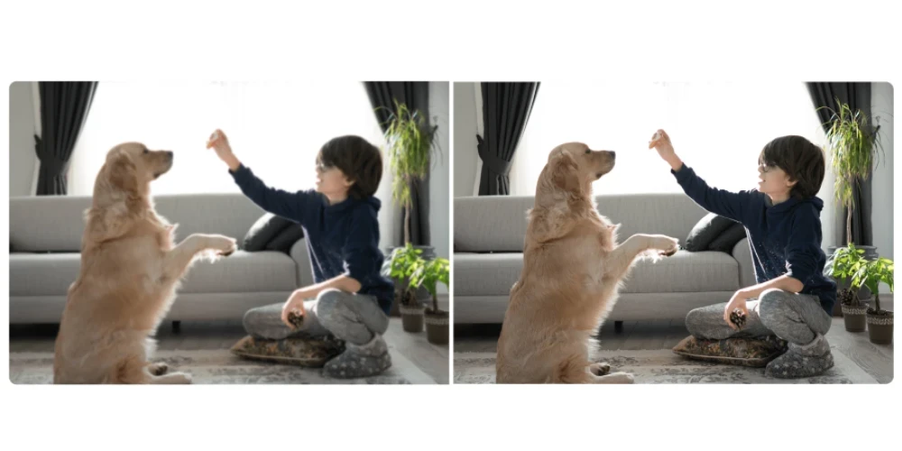 کیفیت تصویر و نمایش جزئیات با رزولوشن 2K